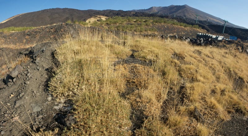 埃特纳火山,菜园,草,火山渣锥,水平画幅,无人,火山地形,当地著名景点,苔藓,户外