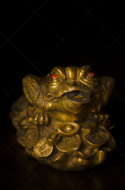 青蛙,三个物体,风水,好消息,垂直画幅,月亮,动物身体部位,房屋,充满的,住宅内部