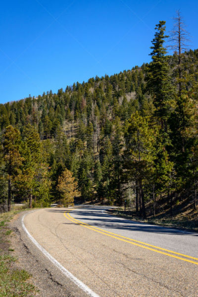 jemez mountains,抱着树,火山喷口,环保人士,垂直画幅,公园,休闲活动,火山地形,户外,山