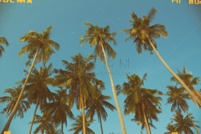棕榈树,鸡尾酒,海岸线,胶卷,天空,水平画幅,无人,墨水,古典式,椰子树