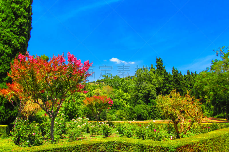 阿罕布拉,西班牙,园林,自然,停泊的,旷野,摩尔人风格,水平画幅,绿色,无人