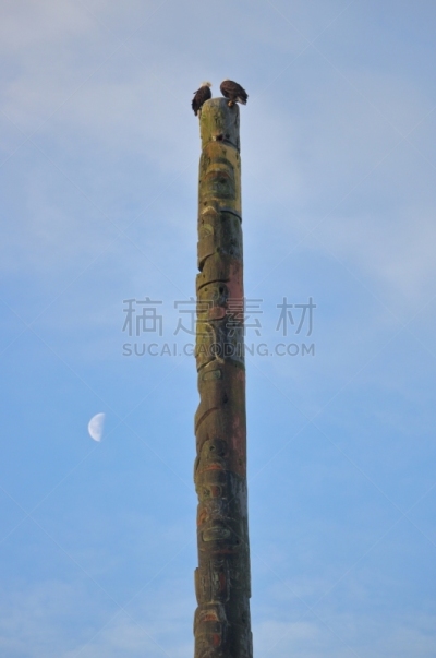 图腾柱,鹰,半月,原住国,动物交配,垂直画幅,天空,鸟类,早晨,动物习性