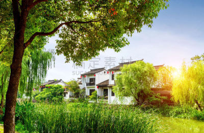 乌镇,风景,传统,草,著名景点,东亚,西塘古镇,河流,运河,夏天