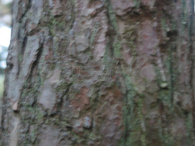 2002,十一月,平衡折角灯,德意志级战列舰,石勒苏益格-荷尔斯泰因,天空,式样,水平画幅,地形,秋天