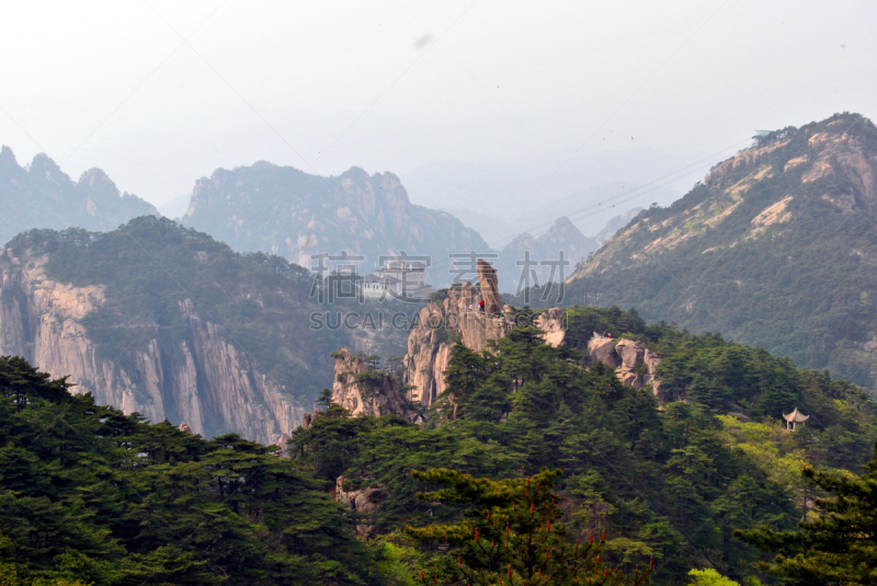 黄山山脉,中国,陡峭,安徽省,永远,松科,松树,天空,水平画幅,地形