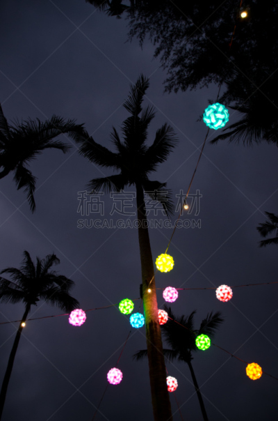 夜晚,鸡尾酒,昌岛,沙滩派对,桐艾府,垂直画幅,天空,椰子树,棕榈树,泰国