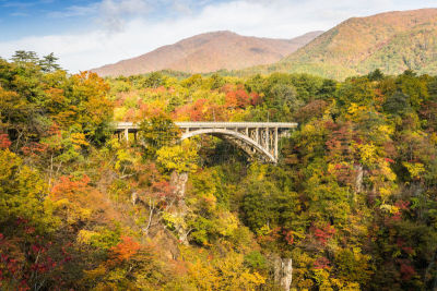 沟壑,水平画幅,旅行者,户外,山,大崎市,东北片区,小溪,河流,叶子