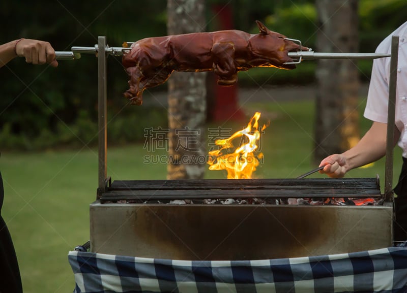 烤的,小猪,炊具,烤肉架,美味,柴火,烤乳猪,格子烤肉,水平画幅,家猪