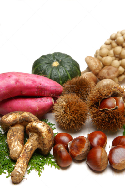 秋天,食品,松茸,日本松茸蘑菇,姬菇,栗树,垂直画幅,褐色,无人,南瓜