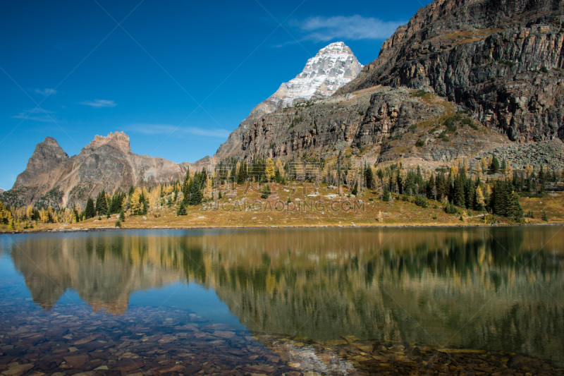 水,山,加拿大落基山脉,奥哈拉湖,青绿色,天空,水平画幅,雪,无人,户外