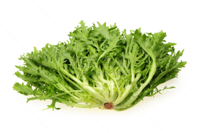 菊苣,白色背景,饮食,水平画幅,绿色,无人,有机食品,皱叶莴苣,背景分离,影棚拍摄