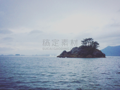 温哥华岛,南,水,水平画幅,无人,山毛榉树,户外,雨林,海浪,海滩