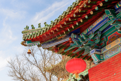 少林,宝塔,少林寺,寺庙,世界遗产,武术,官吏,水平画幅,古老的
