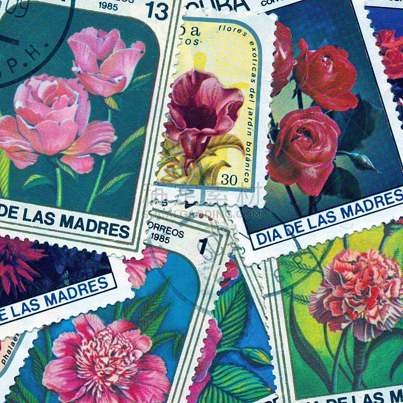 古巴,背景,自然,无人,古典式,玫瑰,邮戳,背景分离,方形画幅