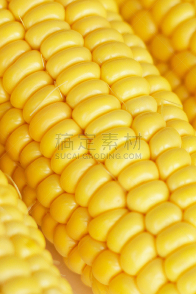 玉米,熟的,特写,垂直画幅,无人,有机食品,老玉米,蔬菜,背景,谷类