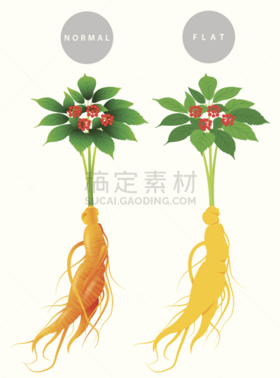 ginseng,人参,朝鲜半岛,饮料,活力,健康保健,背景分离,药,营养品,维生素