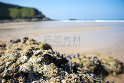 茅根海岸,康沃尔,图像,海洋,英国,海草,无人,海岬,波浪,岩石
