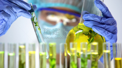 比较,试管,研究人员,脱氧核糖核酸,烧瓶,植物群,人体内脏器官,房室传导系统,科学家,化学家