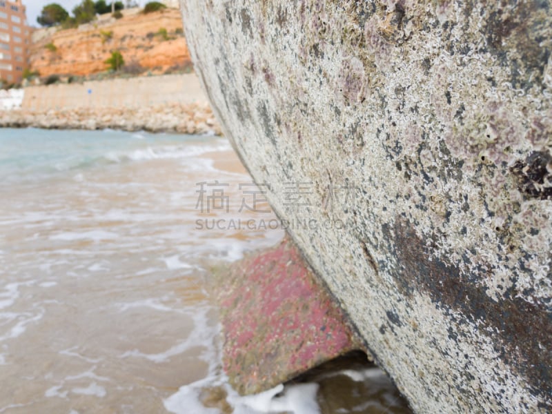 在底端,有帆船,簇叶从生的,海洋,平视角,微生物,水,龙骨,水平画幅,沙子