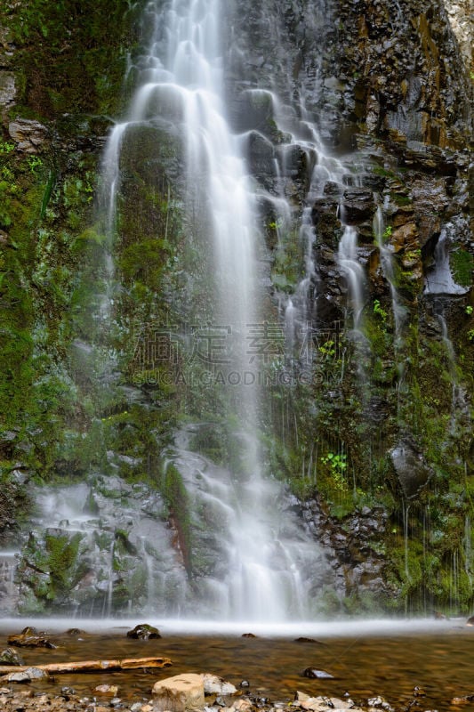 银瀑布州立公园,对称,自然,长时间曝光,垂直画幅,图像,俄勒冈郡,苔藓,美国,自然美