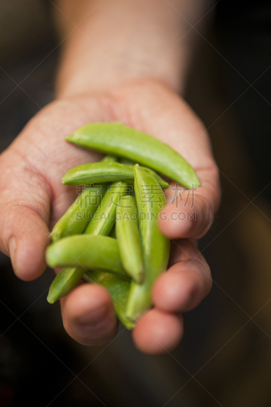 豌豆荚,手,垂直画幅,素食,生食,特写,男性,仅男人,仅成年人,部分