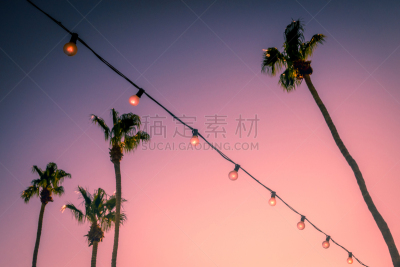 照明设备,线绳,棕榈树,棕榈叶泉,古奇拉谷,暗色,背景分离,摇滚乐,热带气候,浪漫