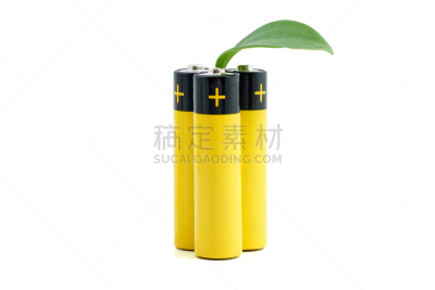 电池,植物,秧苗,碱,循环利用,概念,白色背景,替代能源,生物学,可再生能源