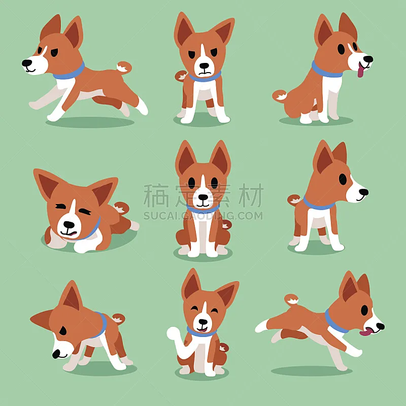 巴辛吉 狗 注视镜头 动画片 可爱的 纯种犬 背景分离 肖像 坐 行动图片素材下载 稿定素材