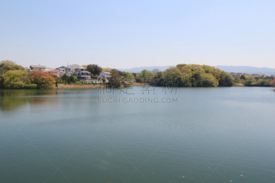 自然,日本,池塘,大阪府,冈谷,水,水平画幅,无人,户外,红色