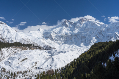 南迦帕尔巴特峰,巴基斯坦,冬天,吉尔吉特,伯尔蒂斯坦,山,喀喇昆仑山,冰碛,冰河,松林