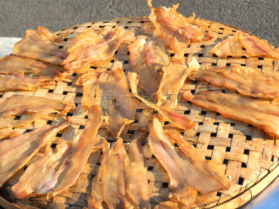 鱼干,毛鳞鱼,鳕鱼,鲭鱼,水平画幅,柬埔寨,生食,膳食,海产,动物身体部位