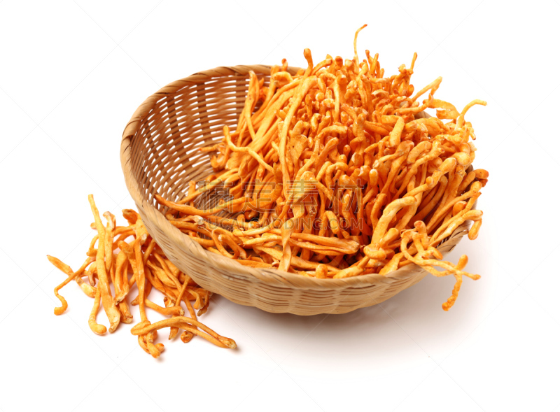 清新,蘑菇,白色背景,生物学,农业,蔬菜,篮子,一个物体,菜园,食品