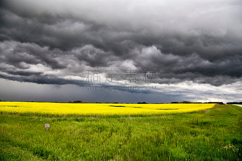 乌云,萨斯喀彻温省,自然,暴风雨,水平画幅,无人,草原,夏天,户外,雷雨