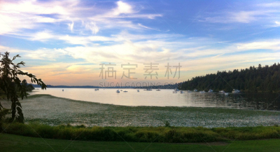 取景湖,华盛顿湖,日落湖,夏至,倒影湖,水,天空,水平画幅,睡莲,夜晚