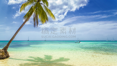 棕榈树,海滩,船,鸡尾酒,沙滩裤,金银岛,珊瑚岛,夏威夷大岛,巴哈马国,沙滩派对