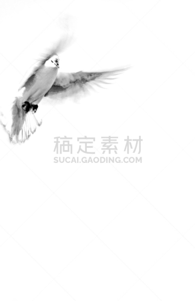 纸,斑鸠,鸽河,垂直画幅,信函,空的,无人,小毯子,2015年,英格兰