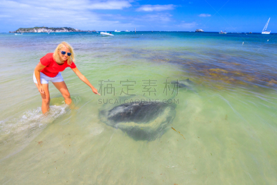 女人,eagle ray,水,西澳大利亚,水平画幅,澳大利亚文明,巨大的,水下,旅行者,夏天