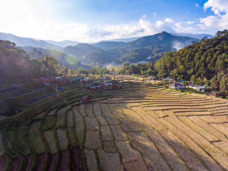 米,地形,房屋,梯田,风景,自然美,心脏移植术,移植手术,水稻梯田,缅甸