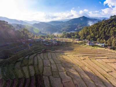 米,地形,房屋,梯田,风景,自然美,心脏移植术,移植手术,水稻梯田,缅甸