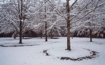 雪,白昼,自然,寒冷,美国,水平画幅,无人,户外,北美,北卡罗来纳