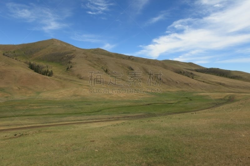 蒙古,草地围场,自然,草地,柳树,水平画幅,野地,地形,山