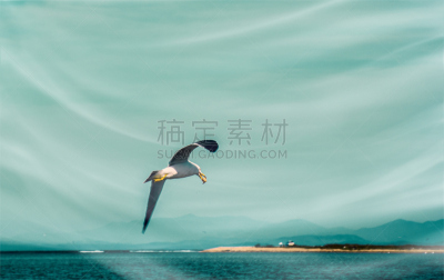 天空,白色,海洋,蓝色,高处,在上面,feathertail glider,钩形珊瑚鱼,印度野生动物园,张开翅膀