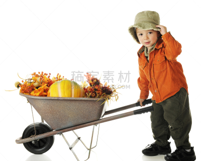 独轮手推车,男孩,南瓜,铲斗帽,扶正帽子,灯芯绒,可爱的,车轮,一个人,橙色