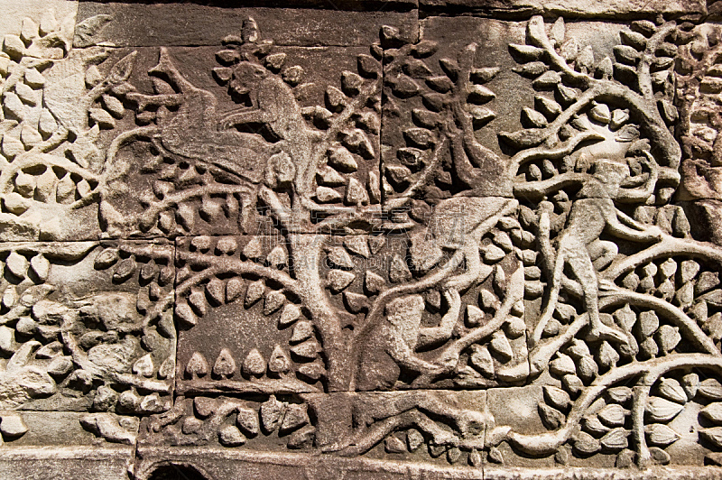柬埔寨,猴子,远古的,雕刻物,水平画幅,墙,进行中,石材,图像,暹粒