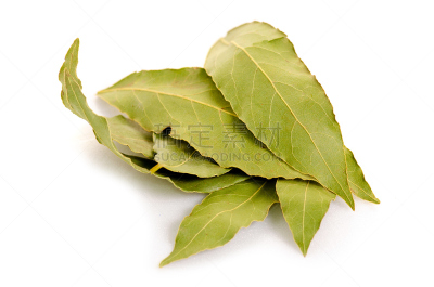 草本,月桂树叶,留白,芳香的,水平画幅,无人,干的,特写,白色,植物