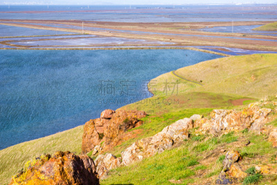 加利福尼亚,丛林狼,风景,山,費利蒙,湾区,省立公园,云景,野生动物,环境