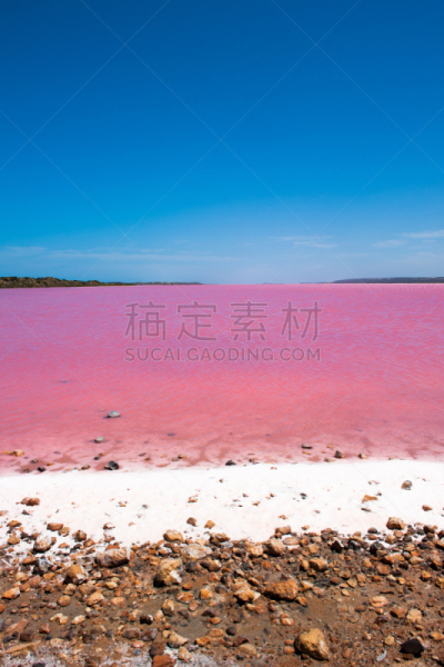 偏远地区,澳大利亚,平克湖,垂直画幅,留白,西澳大利亚,无人,夏天,户外,湖