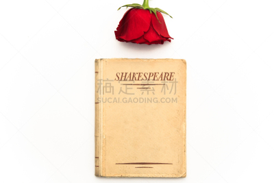 旧约书,玫瑰,威廉莎士比亚,红色,白色背景,古董,水平画幅,文学,古代,无人