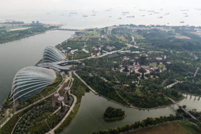 新加坡,滨海湾公园,水平画幅,沙子,无人,户外,仅一朵花,都市风景,现代,建筑业