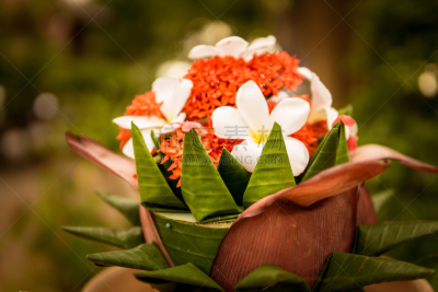 新年前夕,loi krathong,自制的,手提篮,选择对焦,留白,荷花,水平画幅,无人,传统